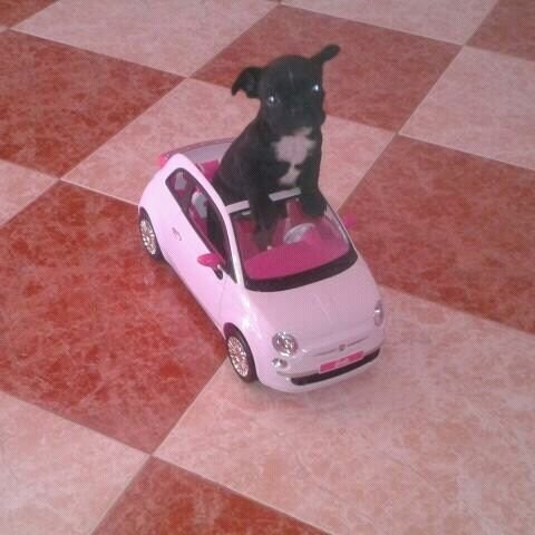 de paseito en mi coche ;)